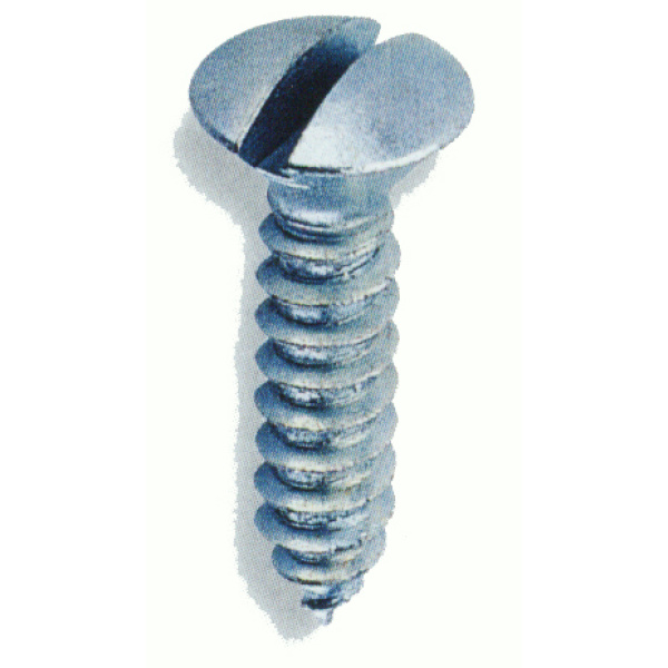 T CHAPA G/SEBO 7973   4