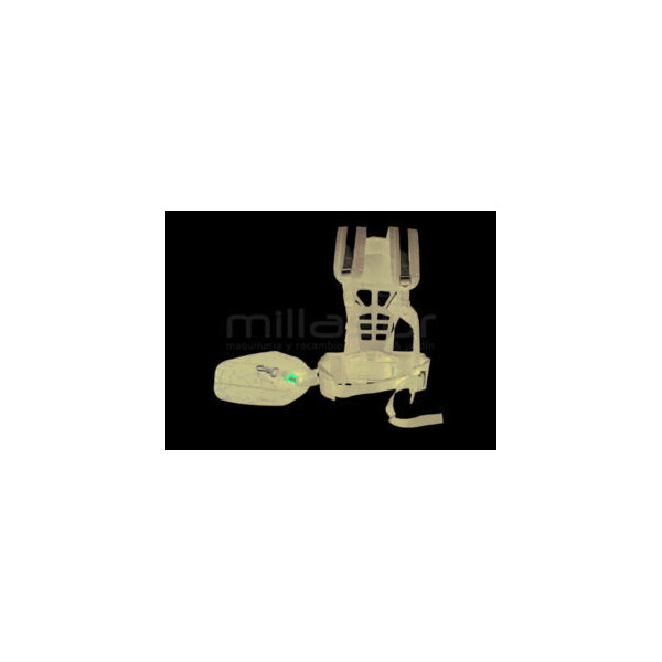 ARNES DESB PROF LUMBAR 99-1255