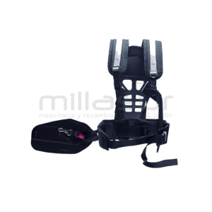 ARNES DESB PROF LUMBAR 99-1255