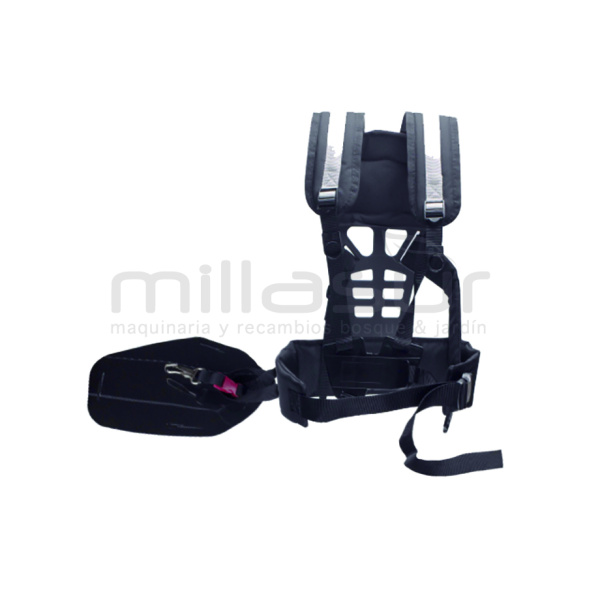 ARNES DESB PROF LUMBAR 99-1255