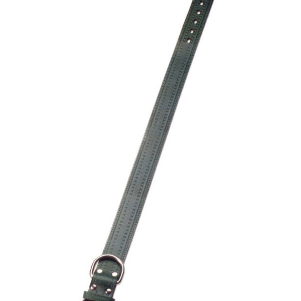 COLLAR PERRO CUERO 55x2
