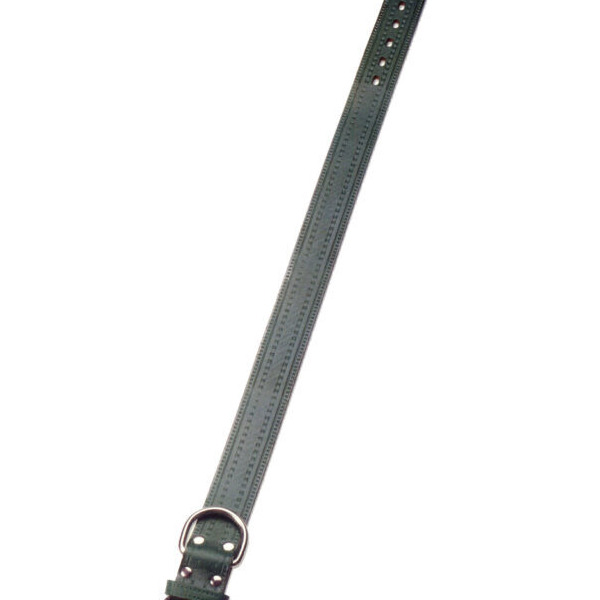COLLAR PERRO CUERO 65x3