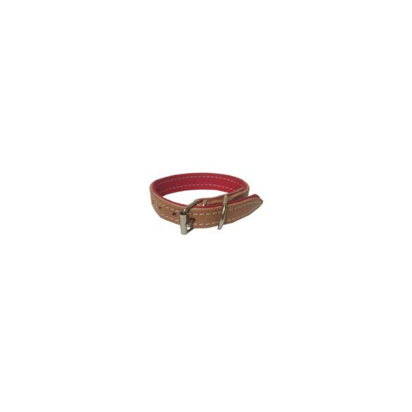 COLLAR PERRO NYLON 25x1