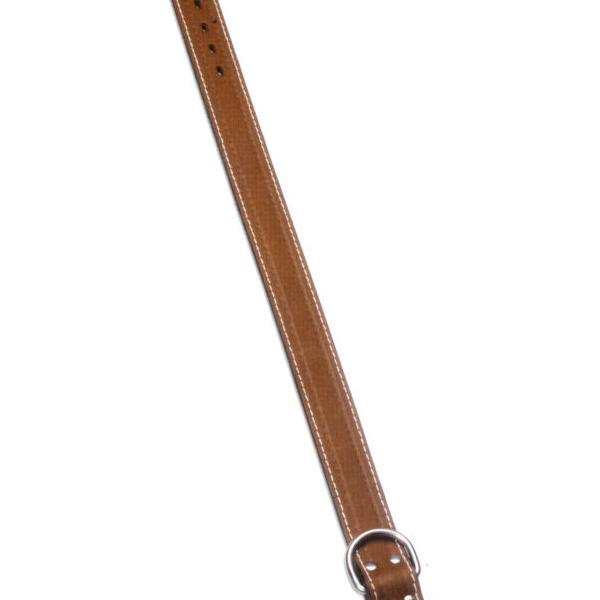 COLLAR PERRO REFORZADO 12/DL 55 X 2