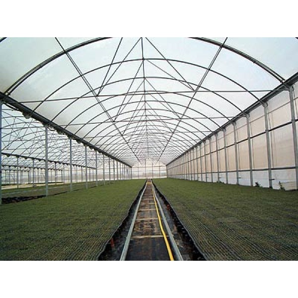 PLASTICO 2 CAMPAÑAS 6 mts G800 KG