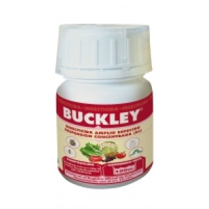 INSECTICIDA BUCKLEY 100 CC 5075