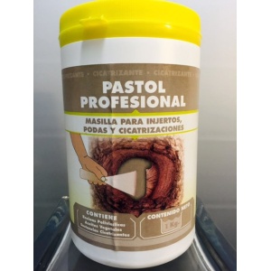 PASTOL PROFESIONAL 1 K