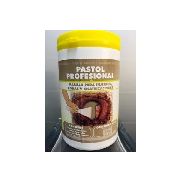 PASTOL PROFESIONAL 1 K