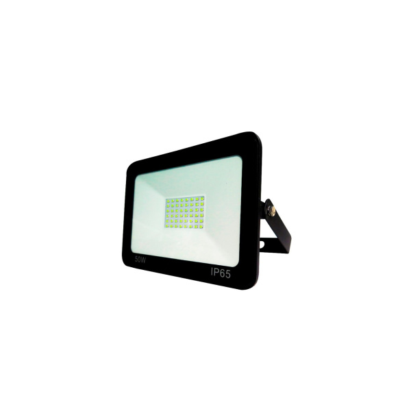 PROYECTOR LED E/PLANO 50W 6