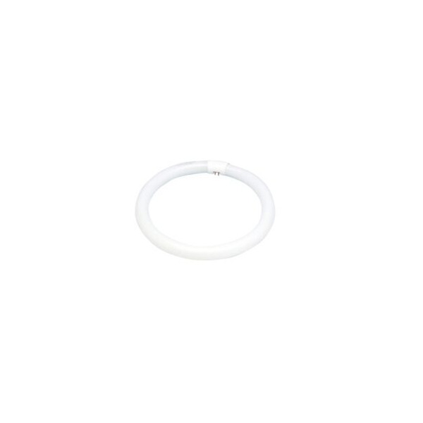 TUBO FLUORESCENTE CIRC 22W 2600027