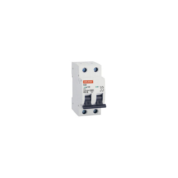 INTERRUPTOR AUT 2 POLOS 40A 8300014